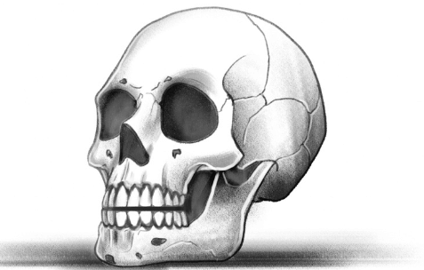 Cool:2qusihdmku4= How to Draw a Skull