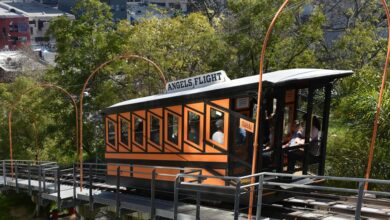 elevate your online marketing