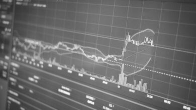 maximize your online growth