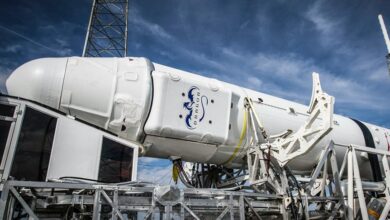 online service development platform